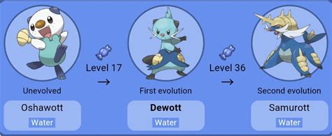 when does dewott evolve.